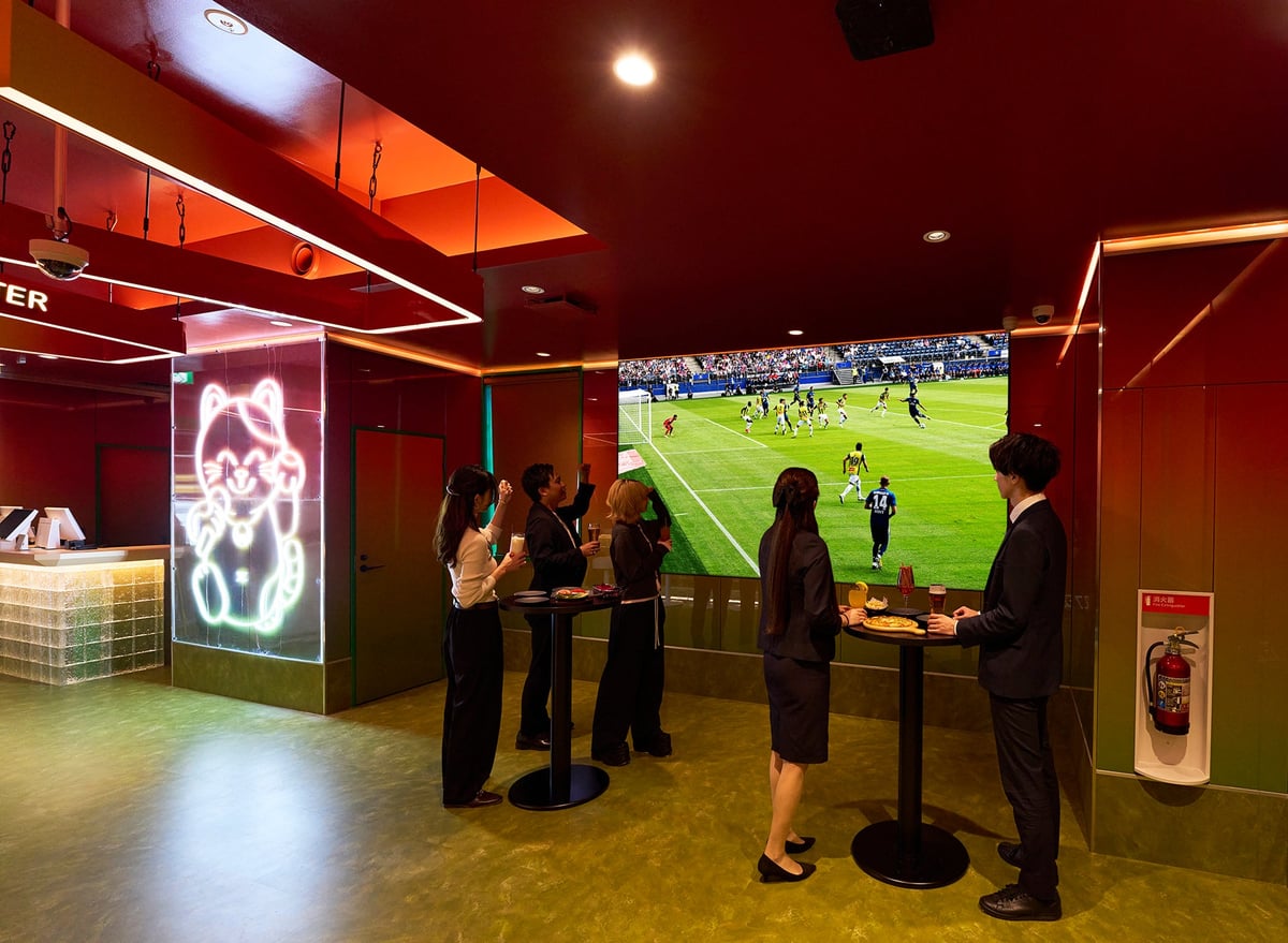 Public viewing ※Image