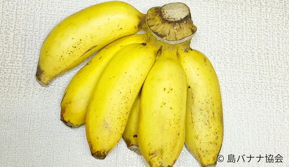 KURAND Launches Rare Okinawan Island Banana Liqueur with Free Samples