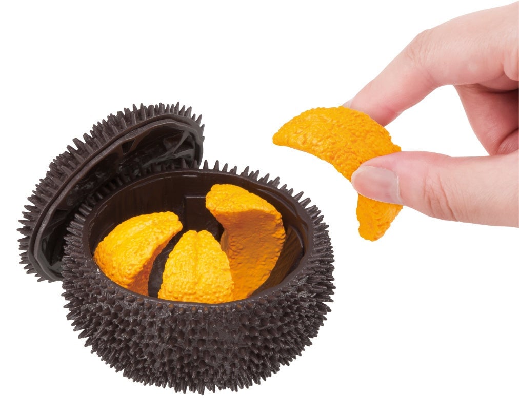 Sea Urchin Puzzle