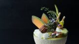 Japan’s First Melon Specialty Cafe in Tokyo Launches Luxurious Whole Melon Parfait