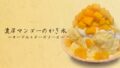 new fruit infused shaved ice shinsun sangenjaya 01
