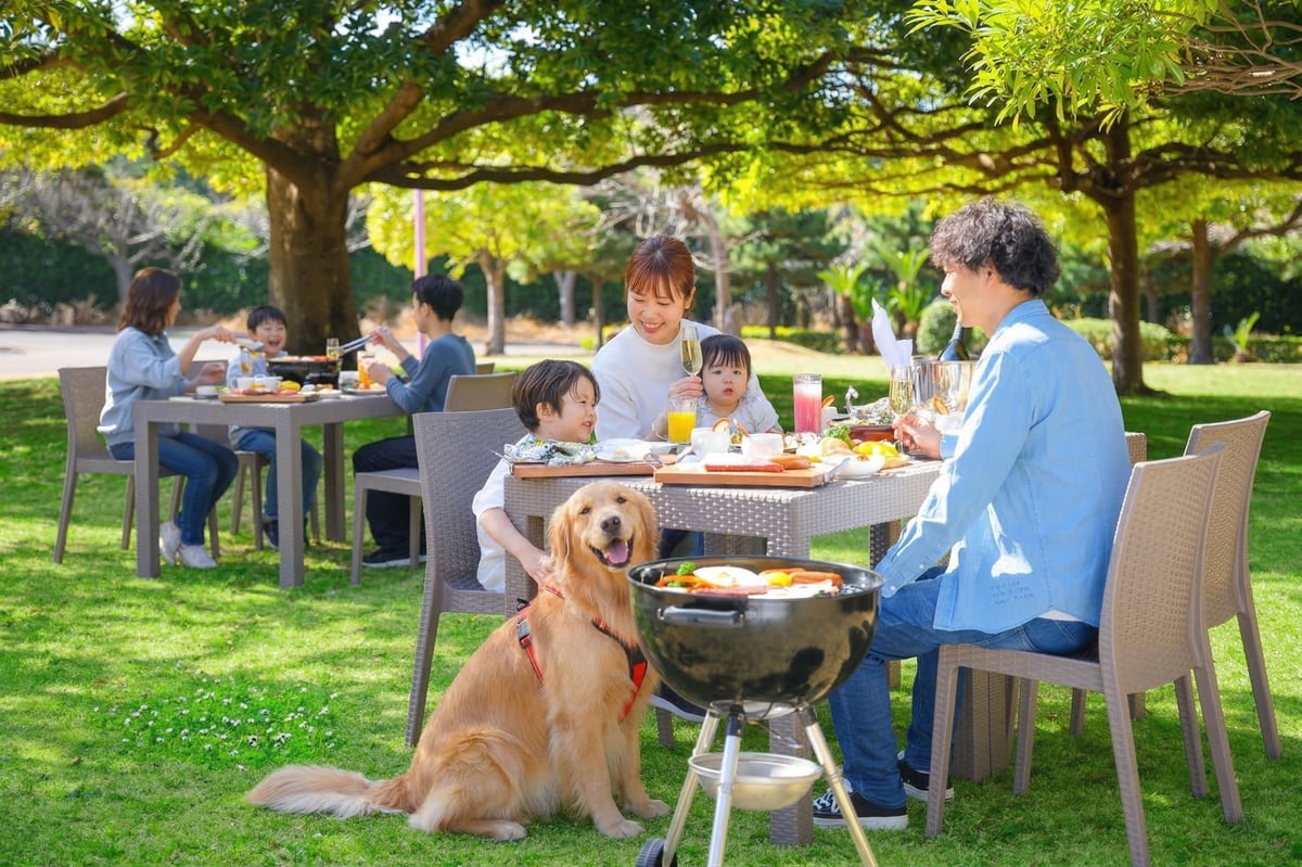Image of 'Shell the Garden'
