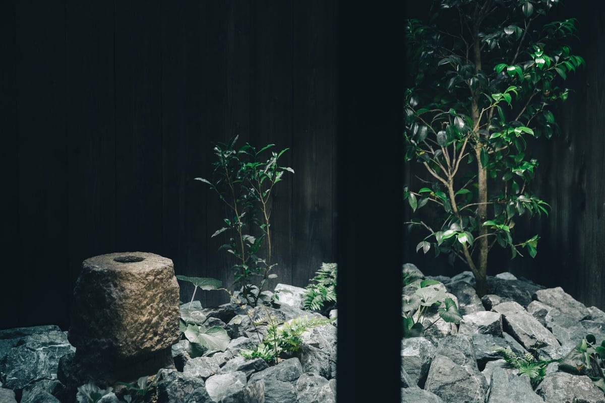 Courtyard view Photo: Misa Kawara