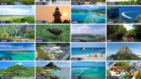Experience Okinawa’s Summer Flavors at Haneda Airport’s Great Okinawa Fair 2026