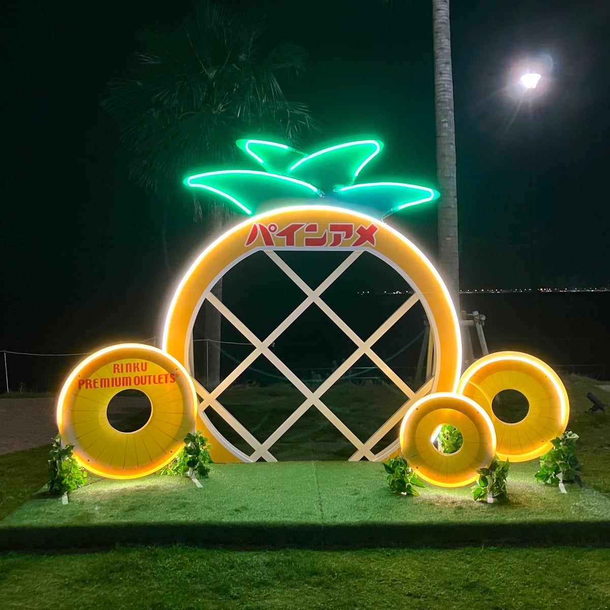 Lights Up at Night