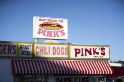 pinks hot dogs japan debut tokyo 01