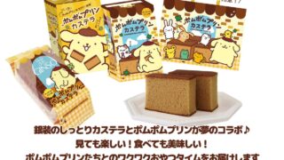 Pom Pom Purin x Ginso Castella Collaboration Launches Nationwide in Japan