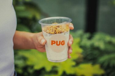 pug boston cookie shake japan 01
