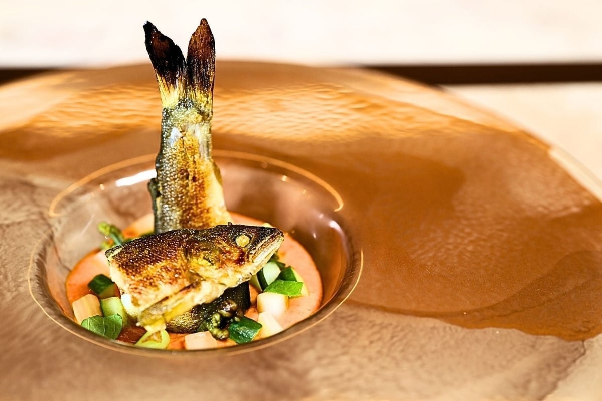 Seasonal Italian Cuisine at MUTA CHIMERA Near Heian Shrine, Kyoto