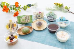 seasonal japanese sweets seven eleven tokyo 01