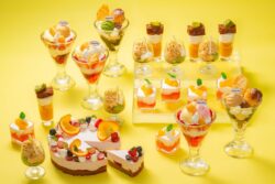 sheraton grand hiroshima summer sweets buffet haagen dazs 01