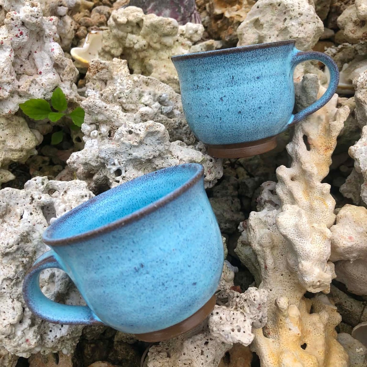 Shima-iro Kiln