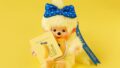 tokyo banana monchhichi collaboration keychain lottery sale 01