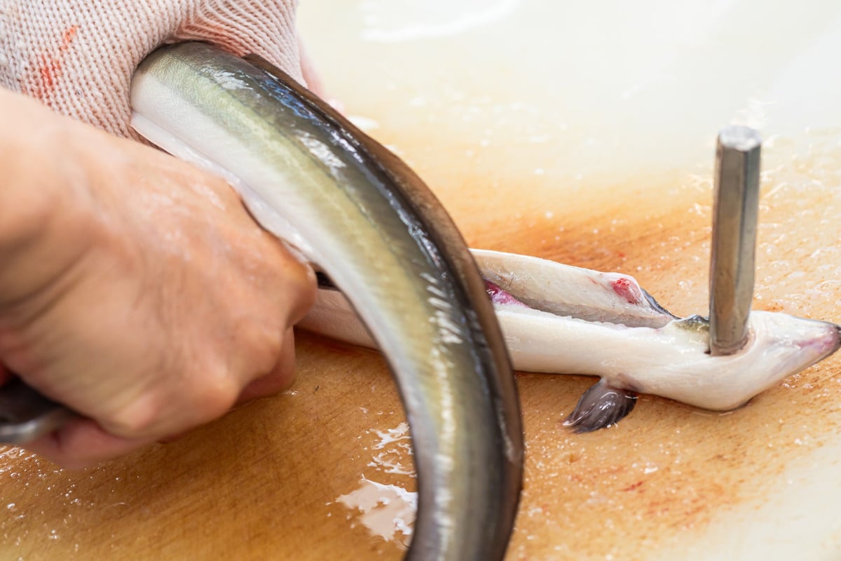 Prepared with Osaka-style gut opening to keep the flesh plump.