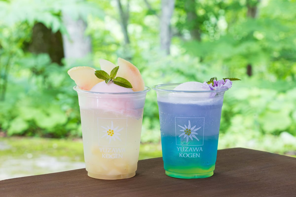 Yuzawa Kogen Panorama Park Offers Free Water Play Area and Summer Fair Activities