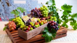 all you can eat shine muscat grapes aloft marriott tokyo ginza 01