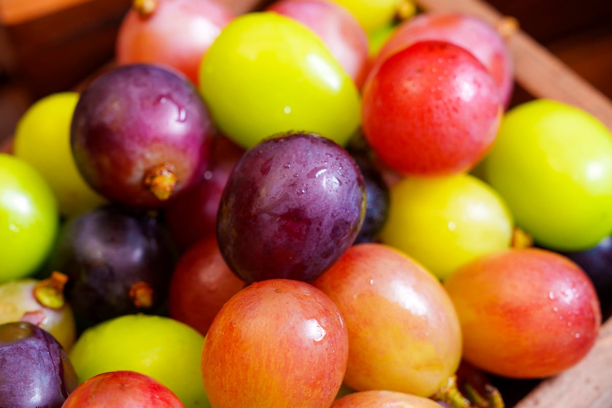 All-You-Can-Eat Shine Muscat Grapes at Aloft by Marriott Tokyo Ginza