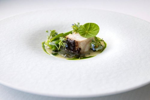 Aomori Summer Seasonal Menu Debuts at Top Tokyo Restaurants Apotheose, Arva, and Sichuan Restaurant Chin