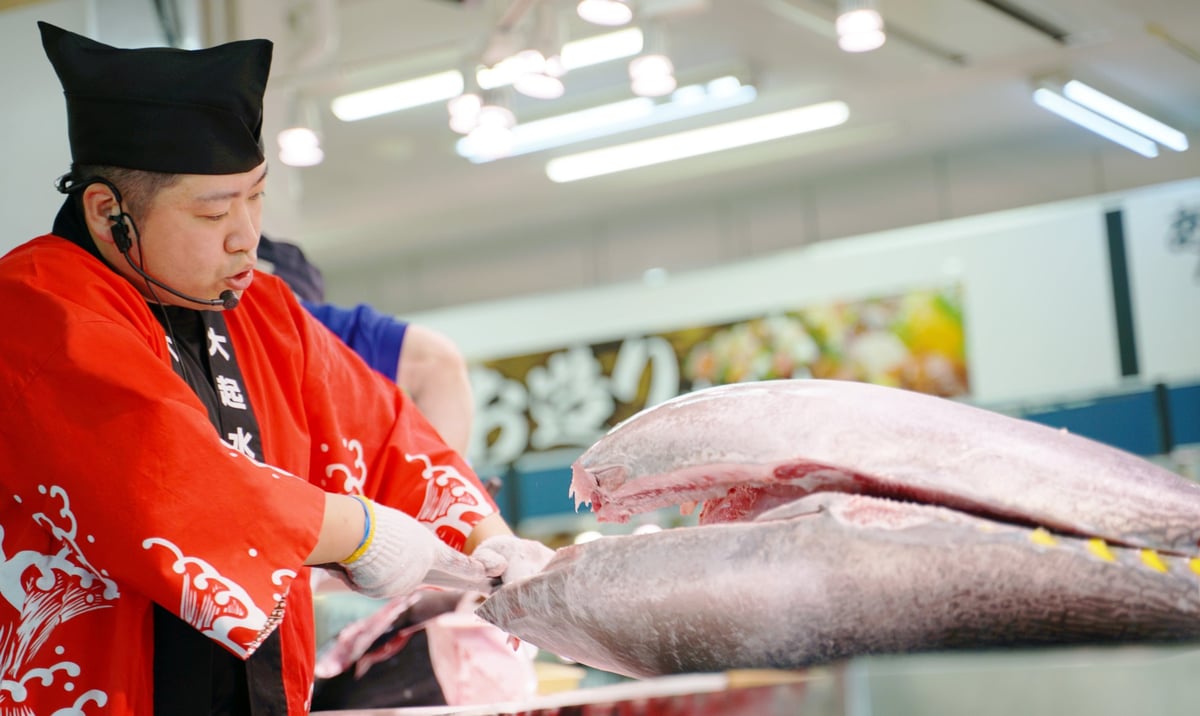 Freshly cut bluefin tuna served as sushi or sashimi!