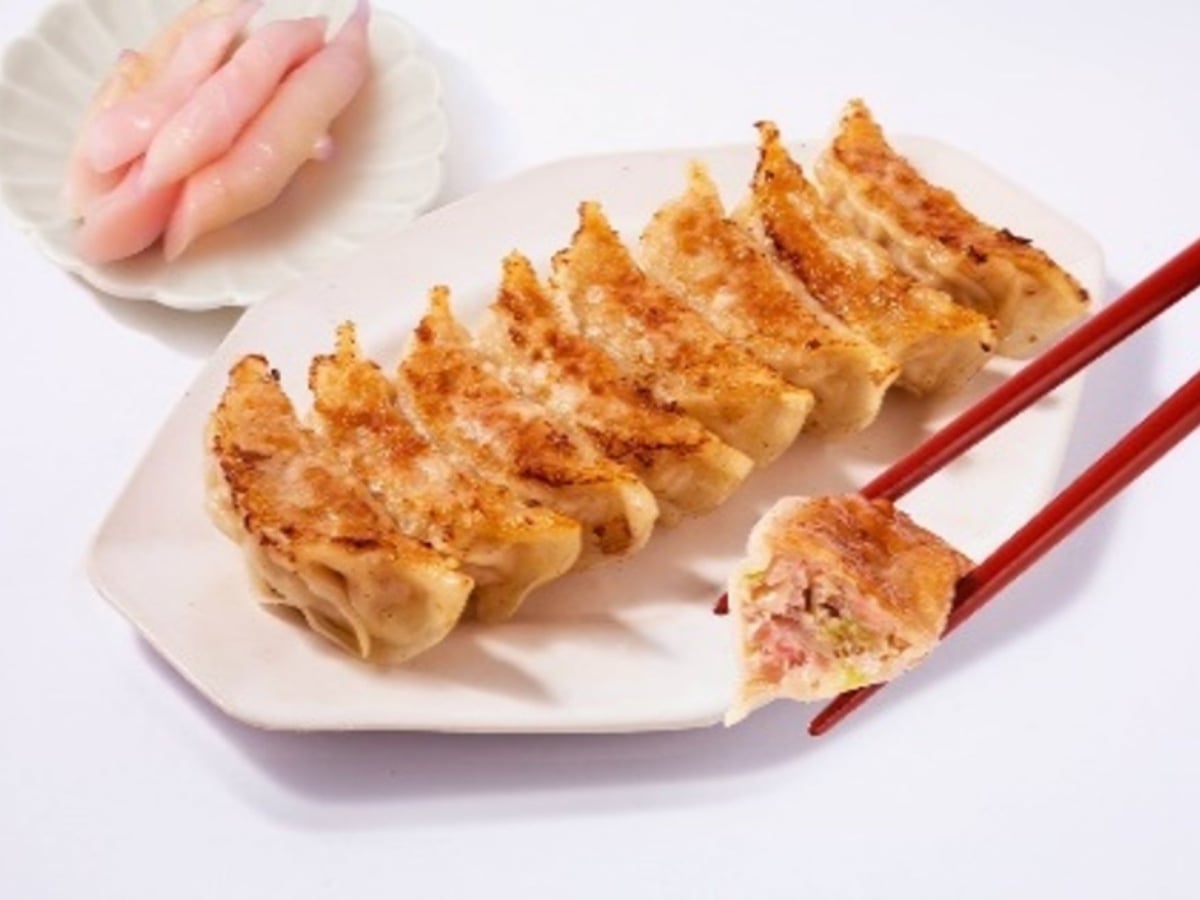 E1A Shin-Tomei NEOPASA Shimizu Hosts Summer Gyoza Festival Featuring 14 Popular Shops