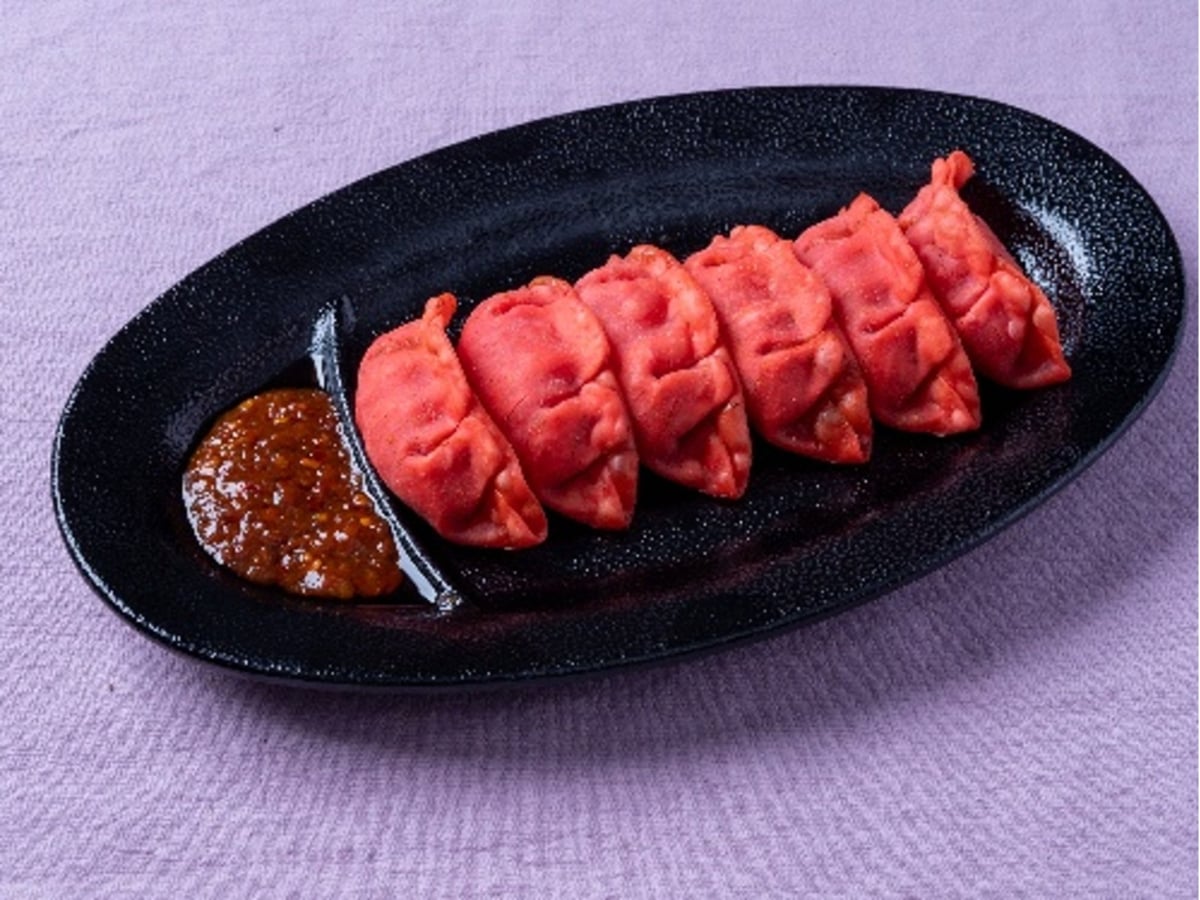 E1A Shin-Tomei NEOPASA Shimizu Hosts Summer Gyoza Festival Featuring 14 Popular Shops