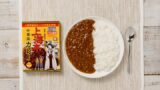 GENCO Offers ¥864 Shanghai-Style Curry from Patlabor EZY in Japan