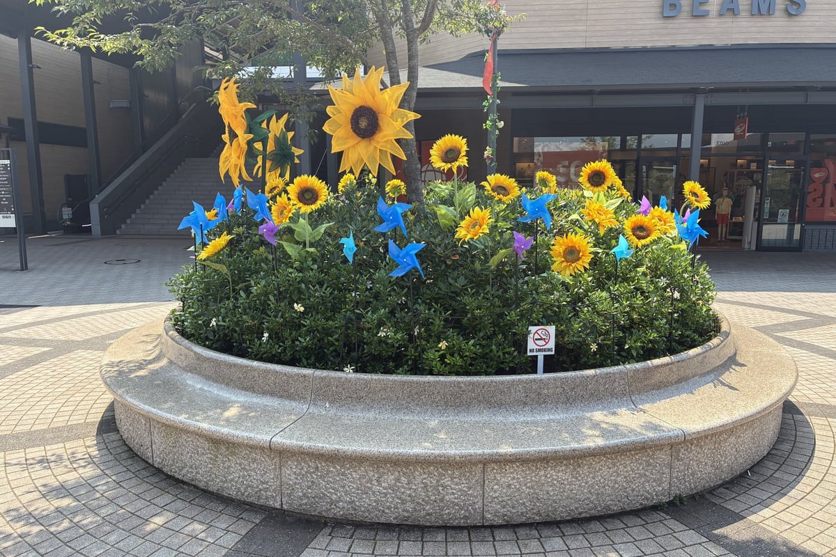 Sunflowers and pinwheels