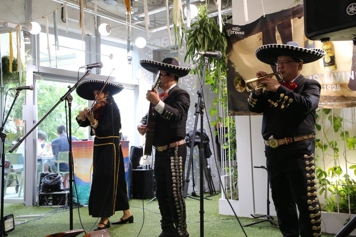 Mariachi performance
