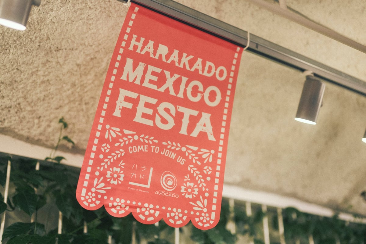 Mexico Festa Flag