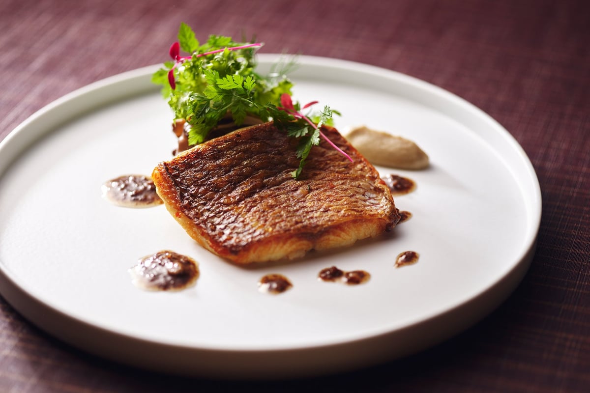 Seared Red Sea Bream with Chrysanthemum Tuber Cream *Please note this is an image. Actual menu items may differ.