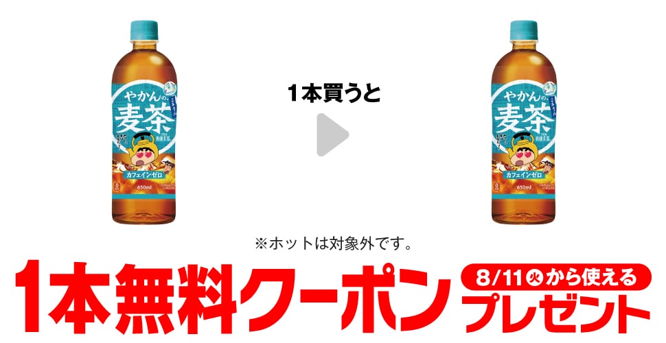 Yakan no Mugicha 650ml