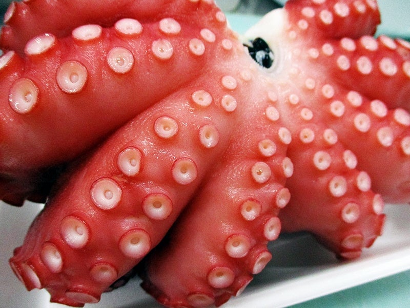 Octopus 100g — ¥380 (tax included)