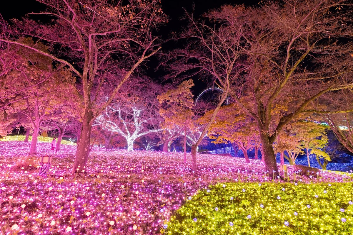Kawaisouni! Collaboration Lights Up Sagamiko Illumillion in Kanagawa From November