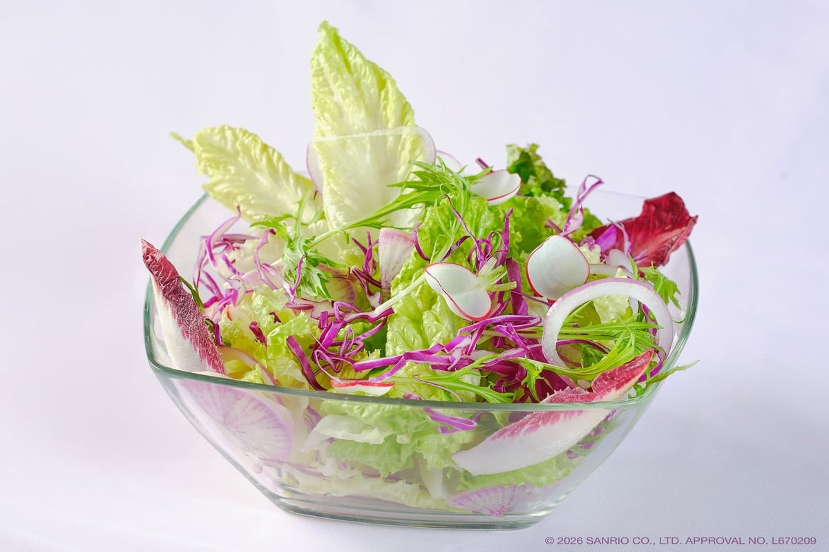 Colorful Vegetable Garden Fresh Salad