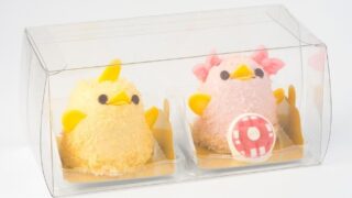 Limited-Edition SKE48-Inspired Piyorin Sweets Debut at TV Aichi Festival in Osu
