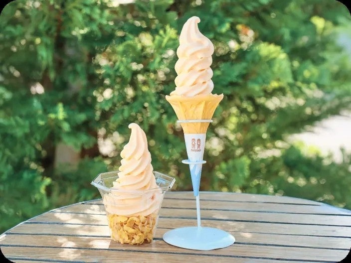 New Summer Sweets Arrive in Matsudo City to Beat the Heat