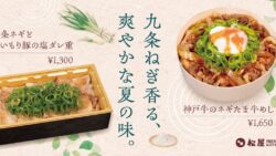 matsuya premium kujo green onion pork kobe beef ginza 01