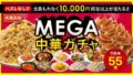 osaka ohsho mega chinese gacha limited run tokyo 01