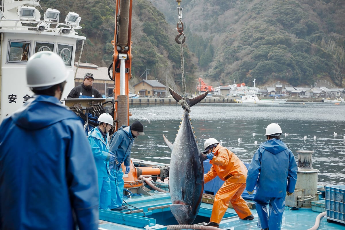 Park Hyatt Kyoto and Chefs for the Blue Present Sustainable Gastronomy Event in July