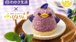 piyorin blueberry nagoya 01
