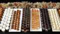 premium karubi all you can eat seasonal desserts gelato 01