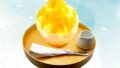 saisai malatang shiroikumo fruit syrup shaved ice kawasaki 01