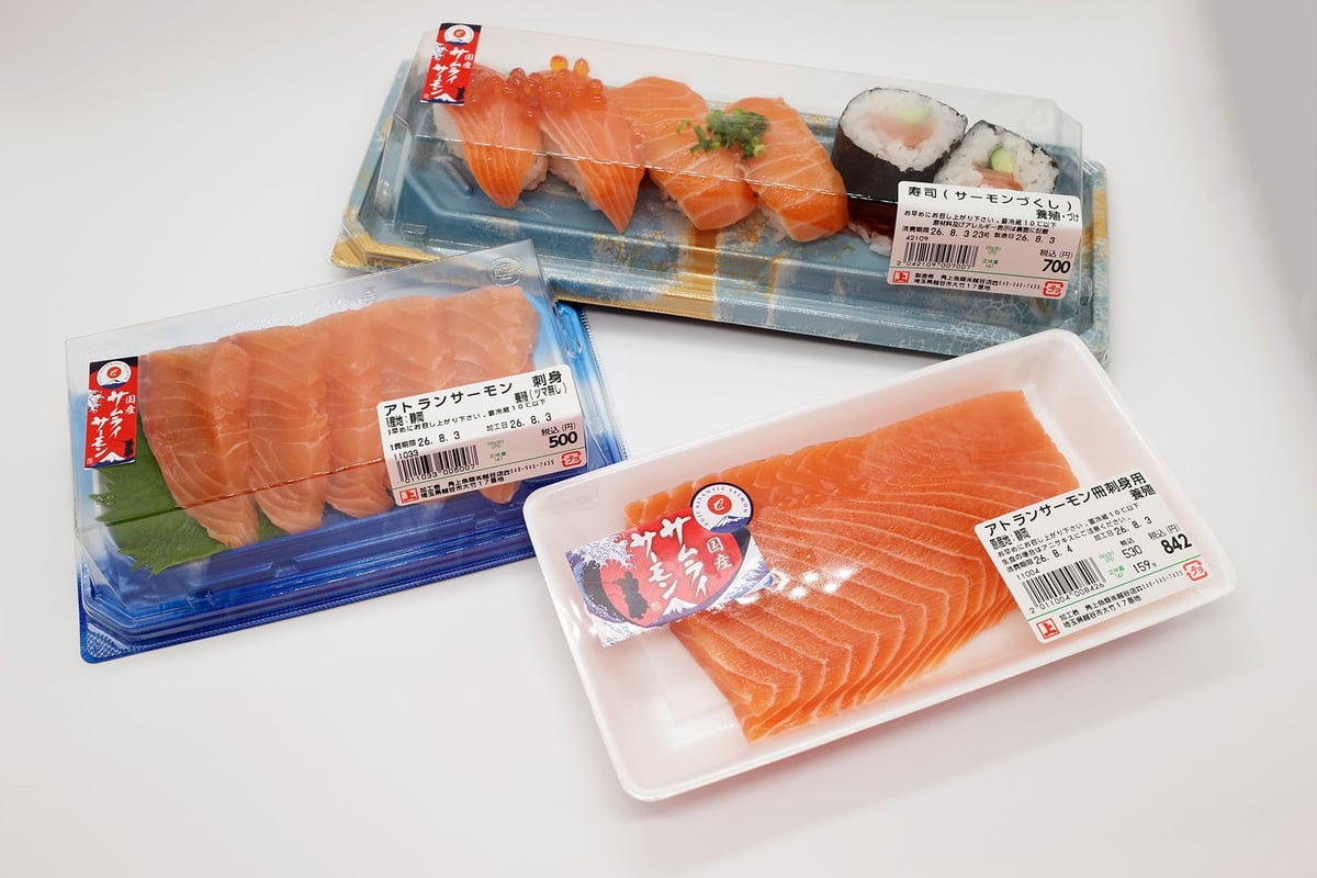 Japan's Exclusive Samurai Salmon Now Available at Kakujo Gyoryui with Fresh Sashimi and Sushi from ¥300 August 3