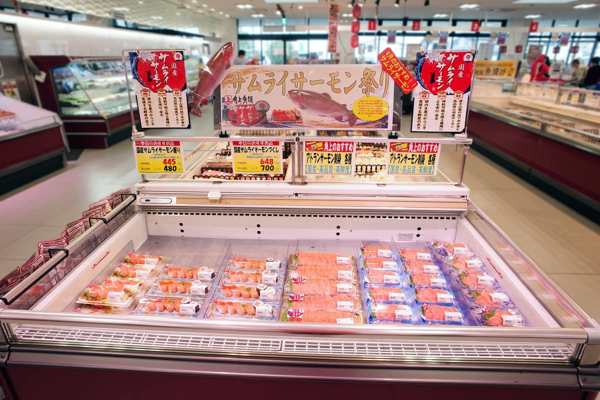 Japan's Exclusive Samurai Salmon Now Available at Kakujo Gyoryui with Fresh Sashimi and Sushi from ¥300 August 3