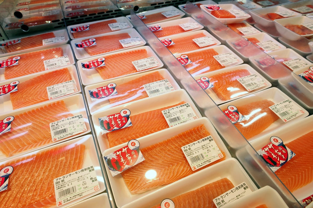 Japan's Exclusive Samurai Salmon Now Available at Kakujo Gyoryui with Fresh Sashimi and Sushi from ¥300 August 3