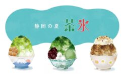 seasonal shaved ice shizuoka 01
