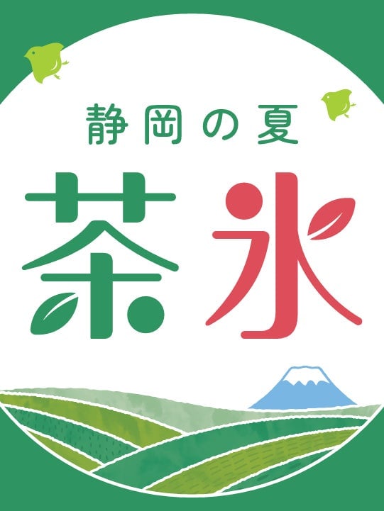 Tea ice flag as a landmark