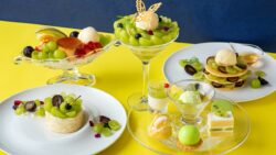shine muscat sweets fair odakyu hotel century southern tower 01