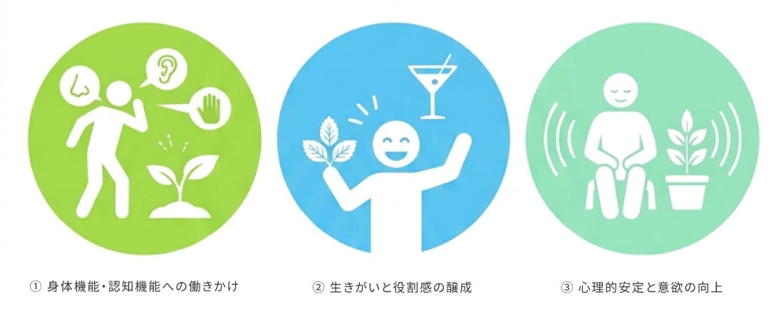 Shinjuku's Mojito Mint Grown at Local Care Facility
