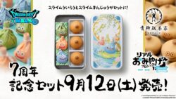 square enix aoyagi sohonke dragon quest 7th anniversary set 01